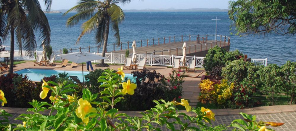 Allamanda - Image 1