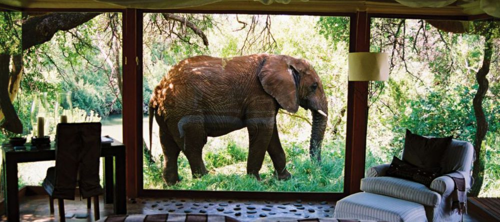 Sanctuary Makanyane Lodge - Image 8