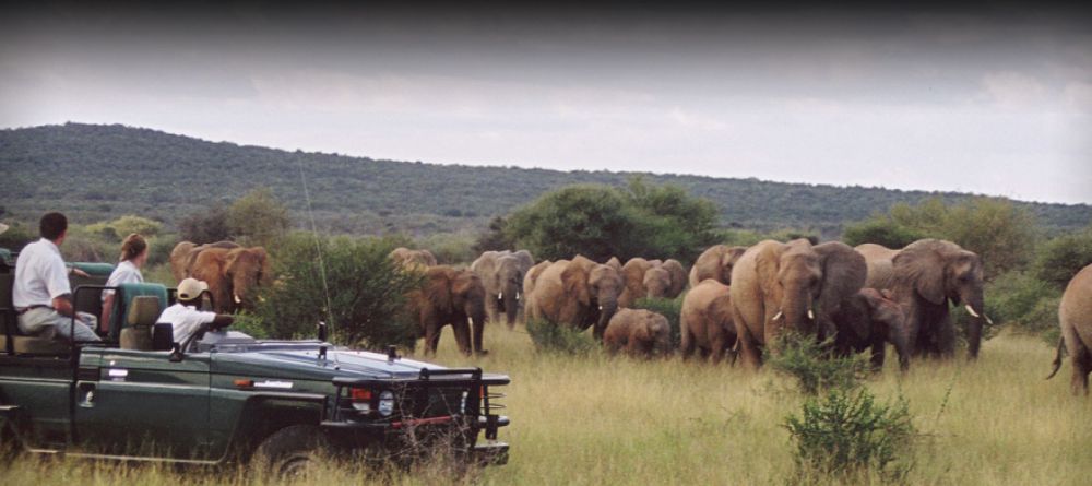 Sanctuary Makanyane Lodge - Image 1