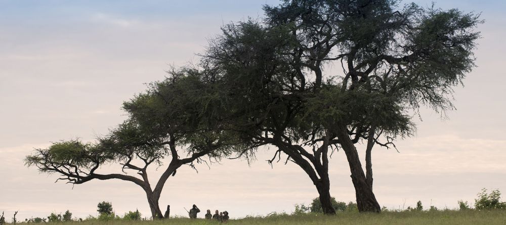 Somalisa Camp, Hwange National Park, Zimbabwe - Image 4