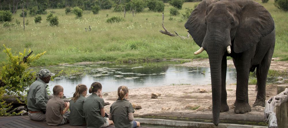 Somalisa Camp, Hwange National Park, Zimbabwe - Image 7