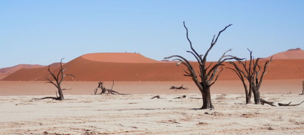Sossus Oasis Camp Site Dunes - Image 4