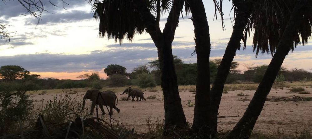 Saruni Rhino Camp - Image 5
