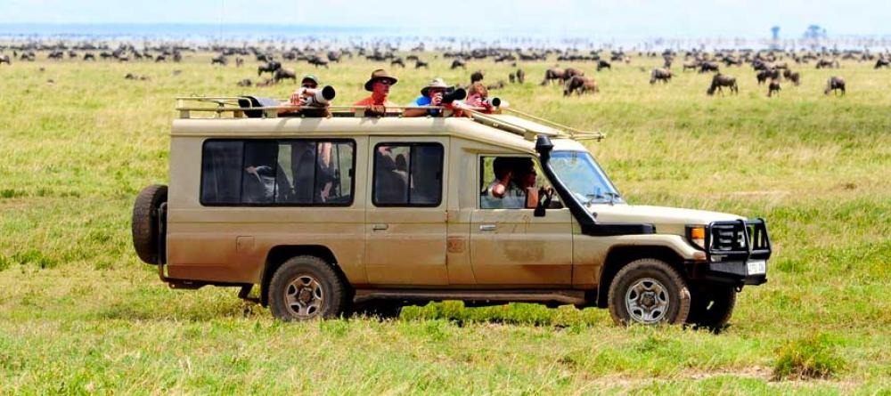 Go on a thrilling game drive to immerse yourself in the wildebeest and zebra migrations at Serengeti Savannah Camps, Serengeti National Park, Tanzania - Image 6