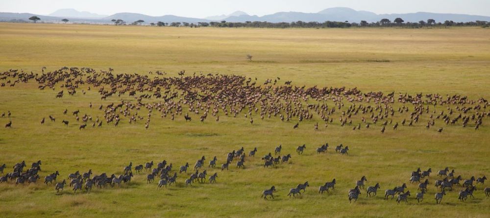Bear witness to the world famous wildebeest migration at Singita Sasakwa Lodge, Grumeti Reserves, Tanzania - Image 9