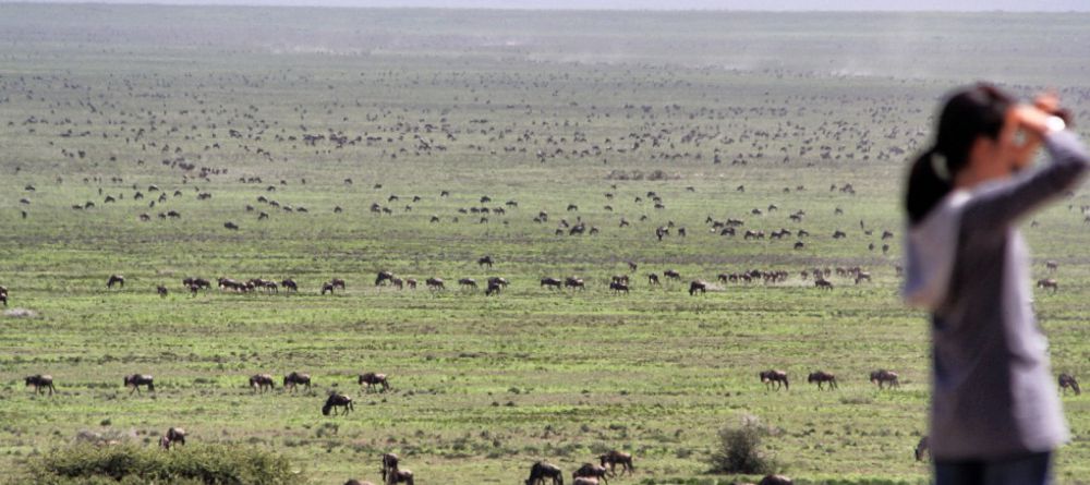 Serian Serengeti South  - Image 5