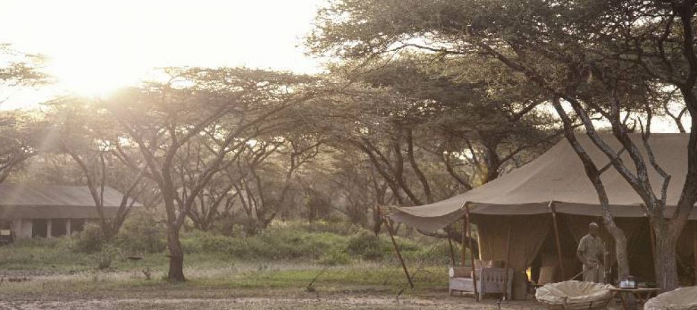 Serian Serengeti South  - Image 1