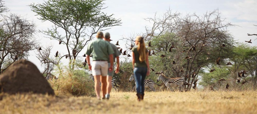 Serian Serengeti South  - Image 3