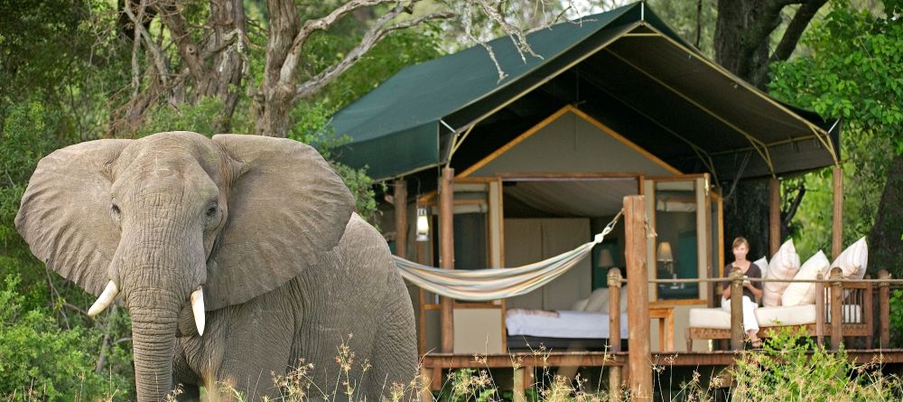 Stanley's Camp, Okavango Delta, Botswana - Image 11