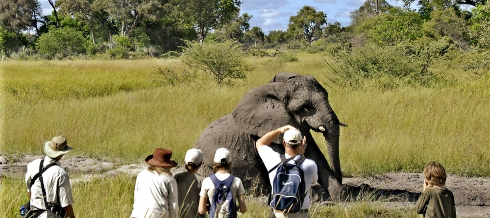 Stanley's Camp, Okavango Delta, Botswana - Image 12