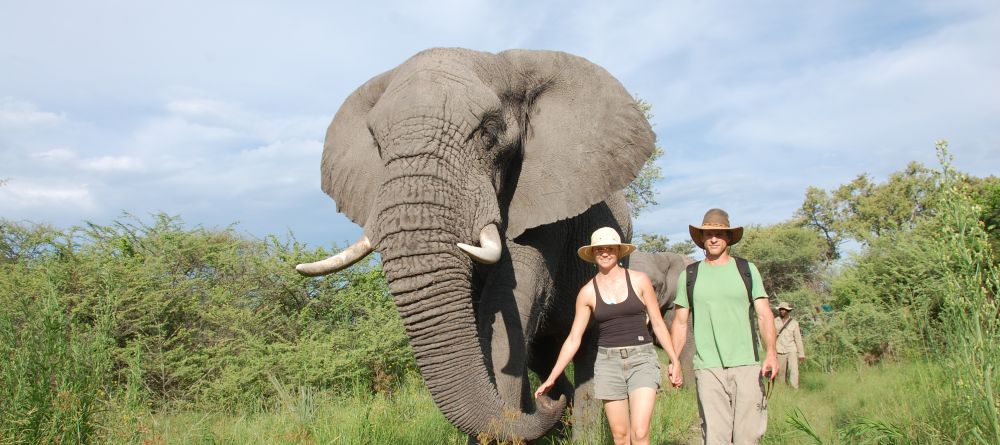 Stanley's Camp, Okavango Delta, Botswana - Image 1
