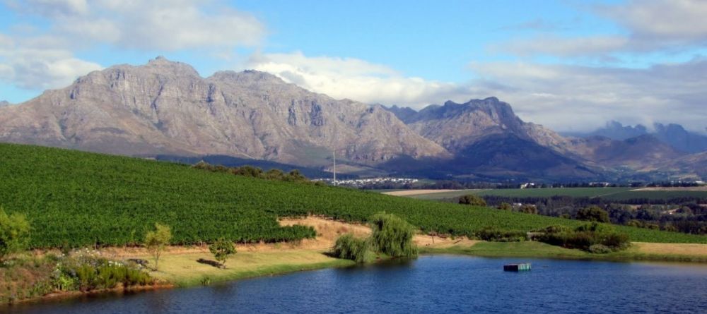 Stellenbosch landscape - Image 14