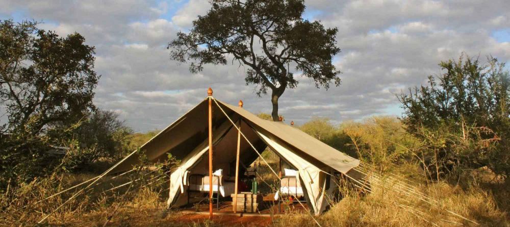 Tanda Tula Field Camp, Timbavati Game Reserve, South Africa - Image 1