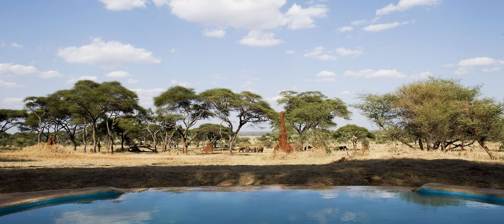 Swala Camp, Tarangire National Park, Tanzania - Image 4