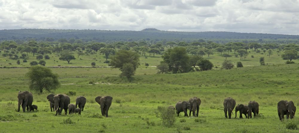 Swala Camp, Tarangire National Park, Tanzania - Image 6
