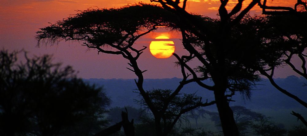 Swala Camp, Tarangire National Park, Tanzania - Image 9