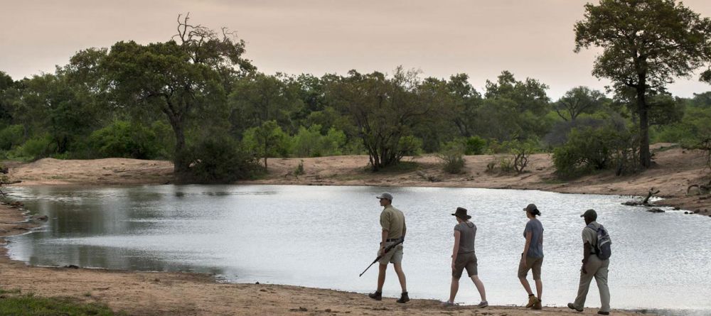 Tanda Tula Field Camp, Timbavati Game Reserve, South Africa - Image 2