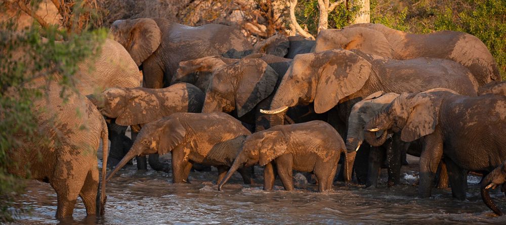 Tanda Tula - Image 11