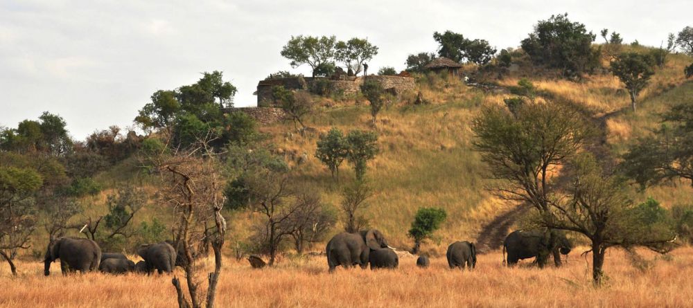 Grumeti Hills, Grumeti Game Reserve, Tanzania - Image 3