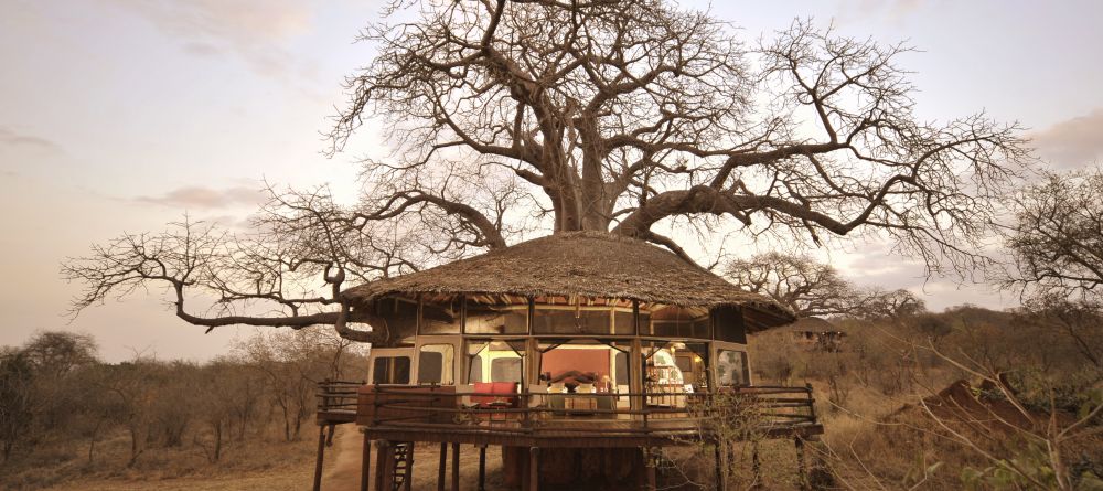 Tarangire Treetops, Tarangire National Park, Tanzania  Â© AndBeyond - Image 3