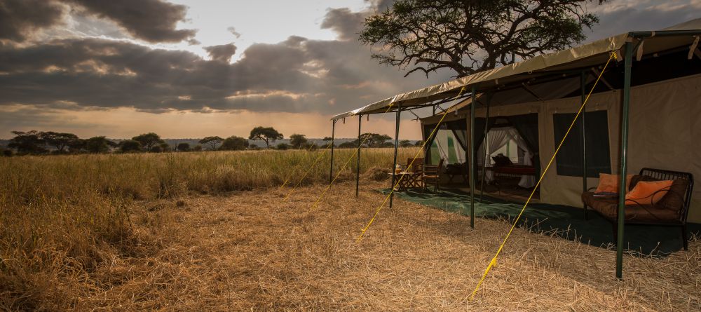 Tarangire Ndovu Camp - Image 4