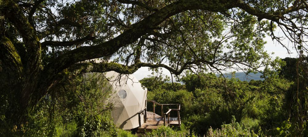 The Highlands - Dome Exterior - Image 2