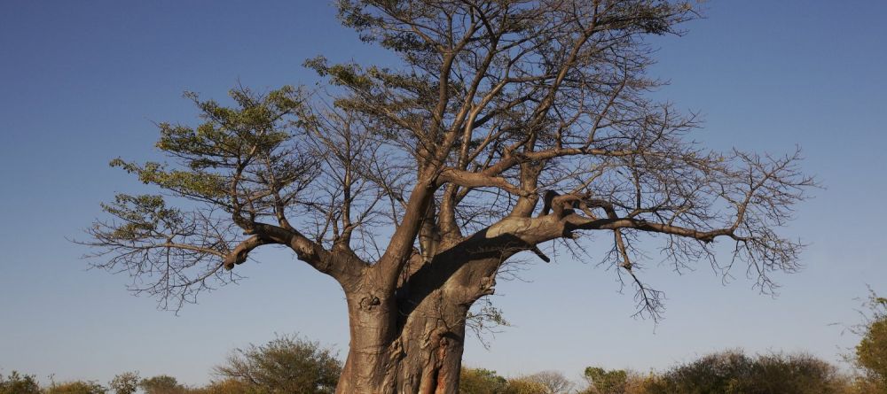 The Islands of Siankaba Lodge, Livingstone, Zambia - Image 7