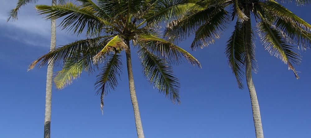 The Palms, Zanzibar, Tanzania - Image 7