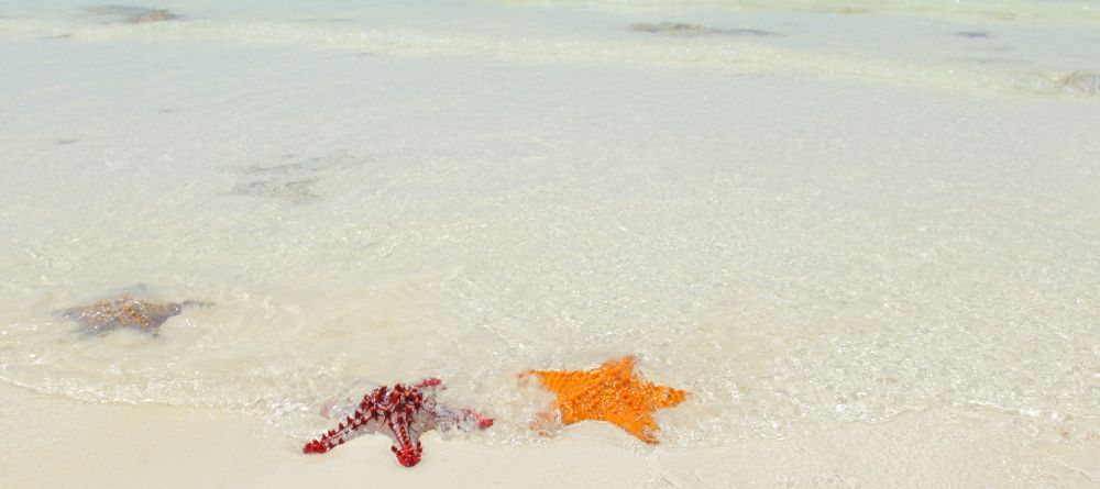 The Z Hotel, Zanzibar, Tanzania - Image 4