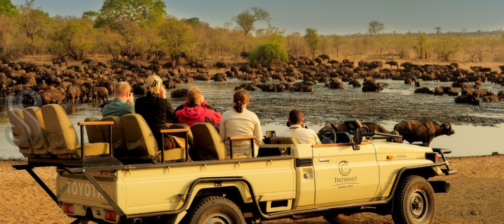 Tintswalo Safari Lodge, Manyaleti Game Reserve, South Africa - Image 3