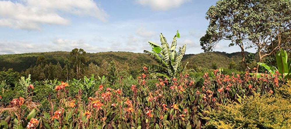 Tloma Lodge - Image 3