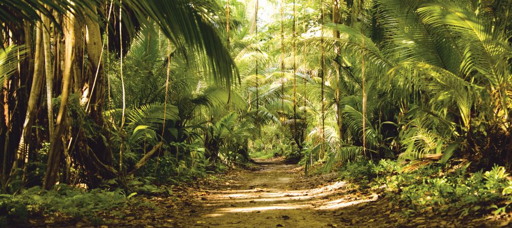 The trail through the tropical growth at Denis Island Lodge, Denis Island, Seychelles - Image 6