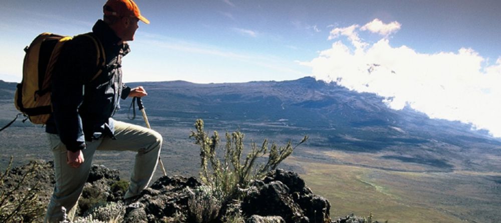 Mt. Kilimanjaro Western Approach - Image 7