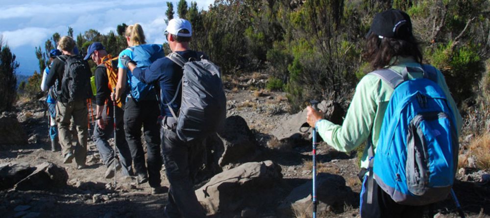 Mt. Kilimanjaro Western Approach - Image 8