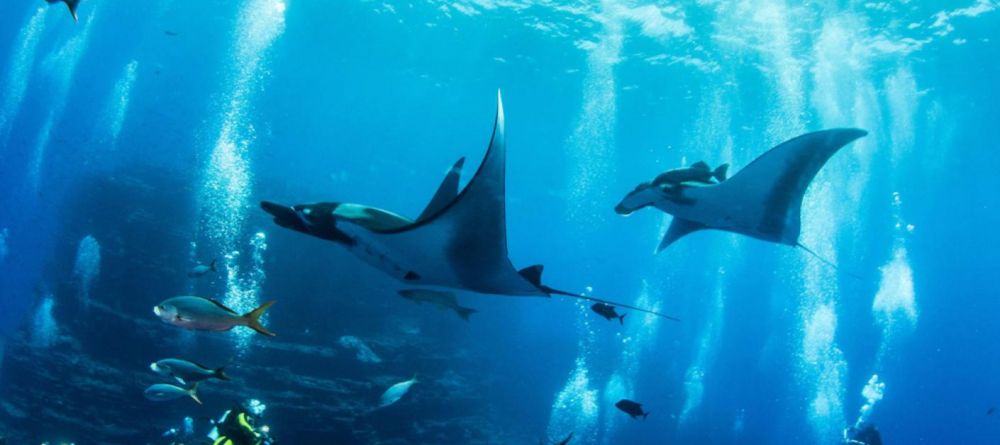 Tsara Komba Lodge - Snorkeling Image by National Geographic Lodges - Image 1