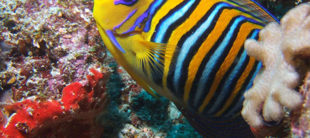 Tsarabanjina, Nosy Be, Madagascar - Image 13