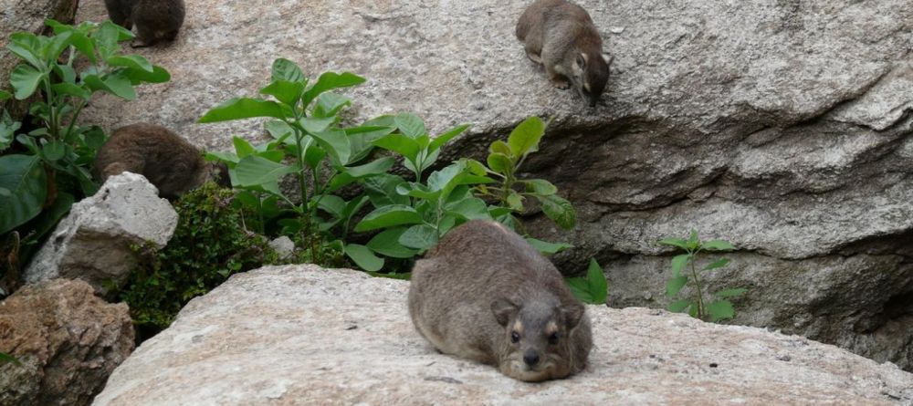 Wildlife  - Image 5