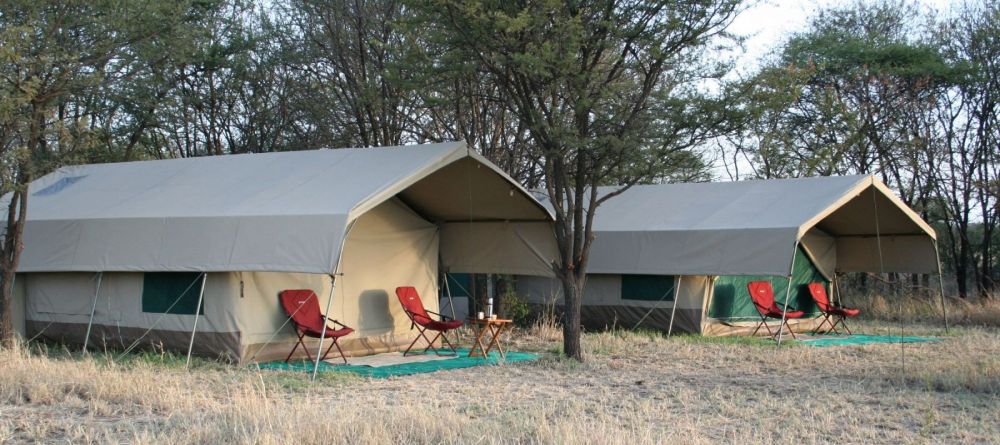 The guest tents at Serengeti Wilderness Camp, Serengeti NCCA, Tanzania - Image 4