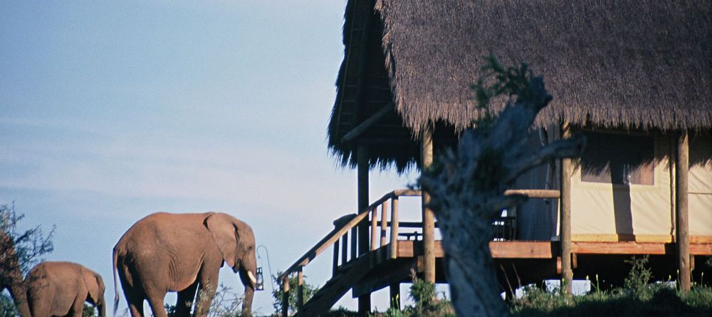 Gorah Elephant Camp, Addo Elephant National Park, South Africa - Image 10
