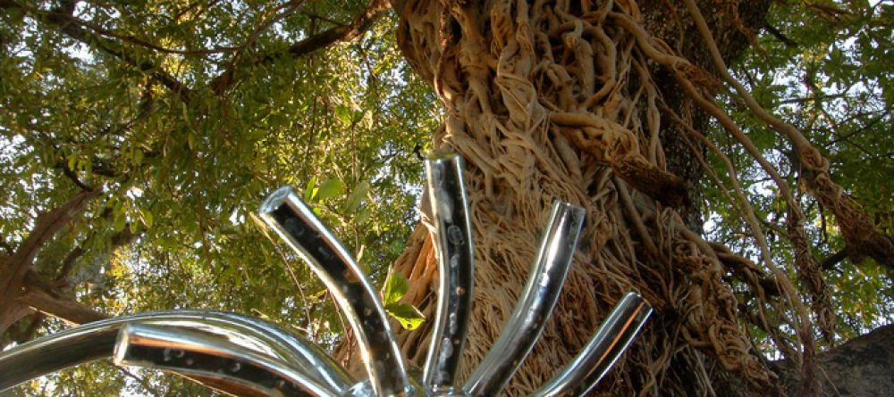 Unique outdoor shower under a stunning tree at Mwamba Bush Camp, South Luangwa National Park, Zambia - Image 11
