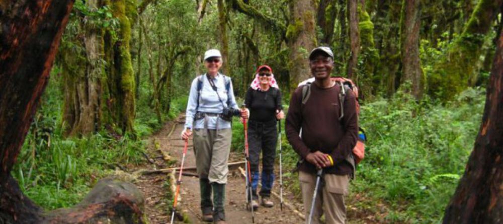Lemosho Route, Kilimanjaro, Tanzania - Image 19