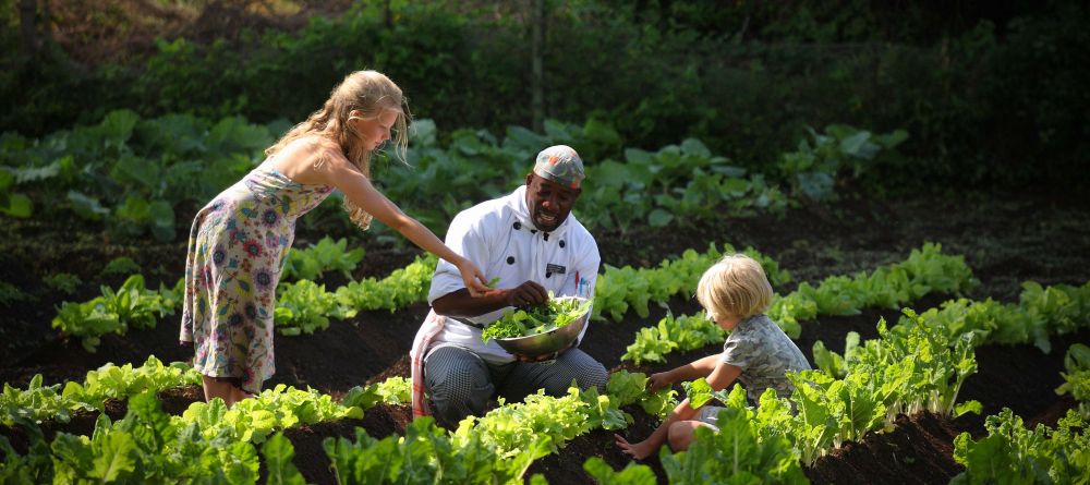Vegetable garden- Tortilis Camp, Amboseli National Reserve, Kenya - Image 19