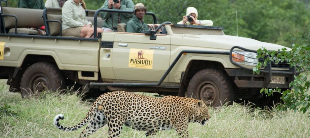 Mashatu Lodge, Mashatu Game Reserve, Botswana - Image 12
