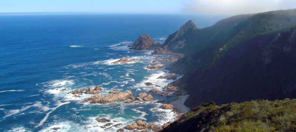 The Harkerville Hiking Trail, Garden Route, South Africa - Image 12