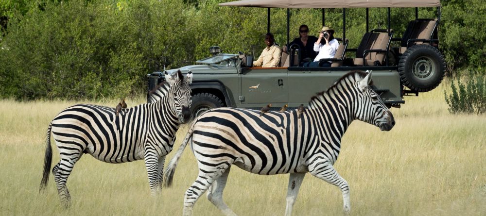 Game drive with zebras, Little Vumbura, Okavango Delta, Botswana © Dana Allen - Image 13