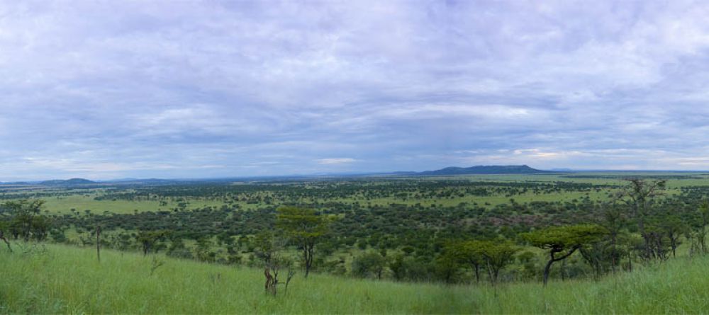 The sweeping Serengeti vista at Serena Serengeti Safari Lodge, Serengeti National Park, Tanzania - Image 9