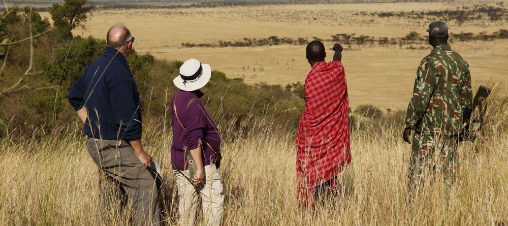 Walking safari - Image 5