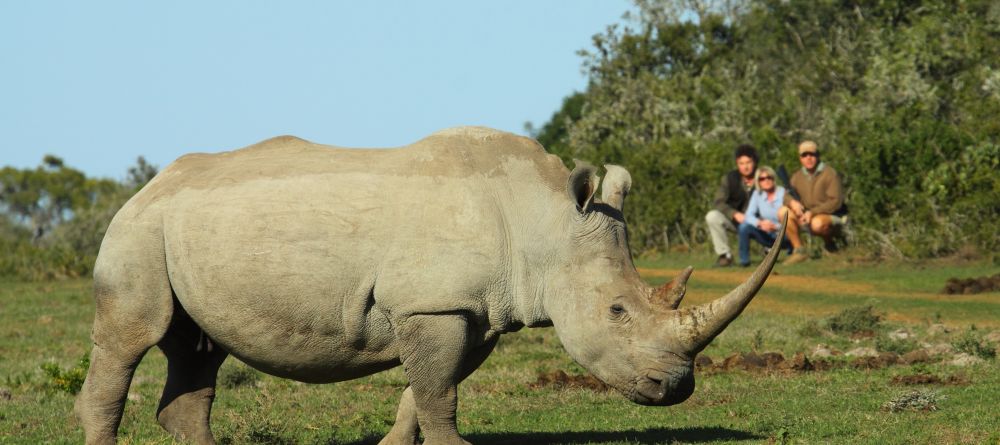 Walking safari at Shamwari Bayethe Tented Lodge, Shamwari Game Reserve, South Africa - Image 12