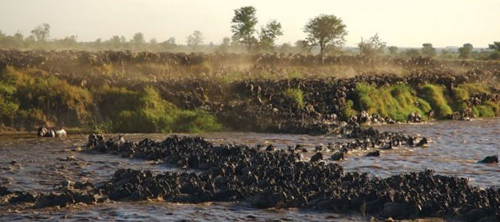 Migration river crossings - Image 12