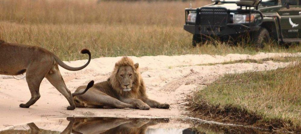 Delta Explorer Campsite, Okavango Delta, Botswana - Image 21